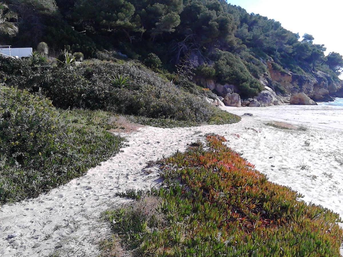 Gran Terraza, Jardin Privado, Piscina, Playa Cercana, Wifi 300mb, Netflix Apartment